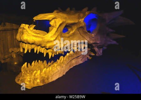 Große Targaryen Drachen Schädel auf Anzeige im Spiel der Throne Ausstellung, Belfast, County Antrim, Nordirland, Großbritannien. Stockfoto