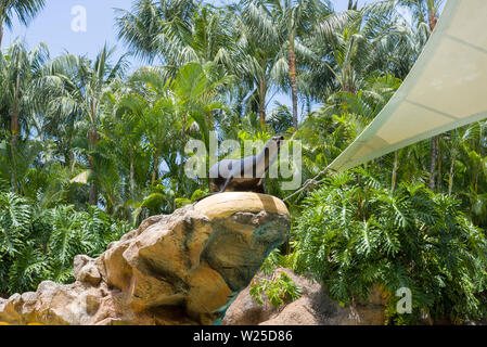 Navy Seal im Zoo an der Leistung. Das Konzept von Tourismus und Erholung. Stockfoto