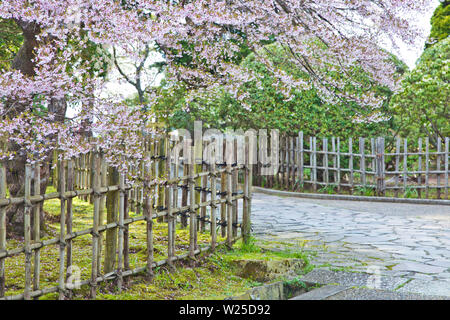 Hakone Palace Garden in Hakone, Präfektur Kanagawa, Japan gelöst Stockfoto