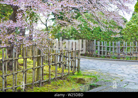 Hakone Palace Garden in Hakone, Präfektur Kanagawa, Japan gelöst Stockfoto