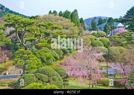 Hakone Palace Garden in Hakone, Präfektur Kanagawa, Japan gelöst Stockfoto