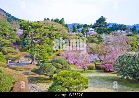 Hakone Palace Garden in Hakone, Präfektur Kanagawa, Japan gelöst Stockfoto