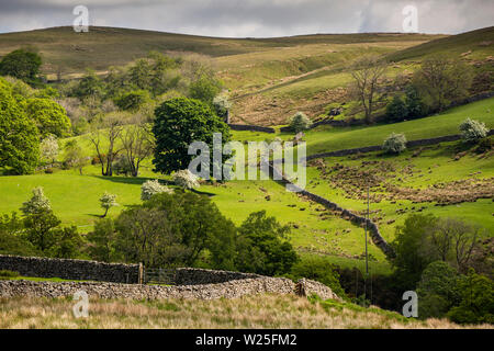 UK, Cumbria, Sedbergh, Frostrow und Soolbank, Lowland Ackerland von Trockenmauern unter Howgill Fells getrennt Stockfoto