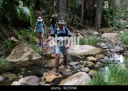 Eine australische Familie über einen kleinen Bach mit trittsteine in der Nähe der MOSS-Garten innerhalb des Carnarvon Gorge National Park in der zentralen Hi Stockfoto