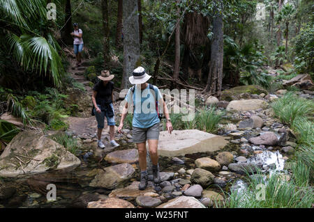 Eine australische Familie über einen kleinen Bach mit trittsteine in der Nähe der MOSS-Garten innerhalb des Carnarvon Gorge National Park in der zentralen Hi Stockfoto