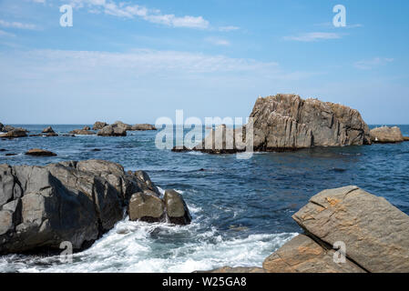 Viele Möwen stehen auf Felsen im Meer isoliert, entspannend und fliegen um die Felsen. Stockfoto