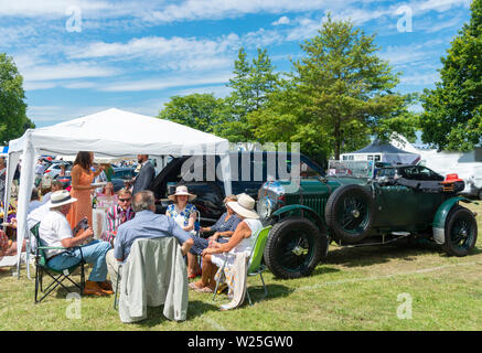 Henley-on-Thames, UK. 5. Juli, 2019. Henley Royal Regatta, im Jahr 1839 gegründet und ist einer der Höhepunkte des Sommers sportlichen und gesellschaftlichen Kalender im Vereinigten Königreich, wo Zuschauer 600 Mannschaften über fünf Tagen genießen Sie auf der Themse und hier ein herrliches Picknick Mittagessen in Lion Wiese Parkplatz. Kredit Gary Blake/Alamy leben Nachrichten Stockfoto