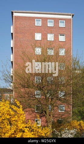 Wohnhaus, Mehrfamilienhaus am Breitenweg im Frühling, Bremen, Deutschland, Europa Stockfoto