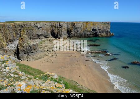 Aufbau Kopf Küste von Pembrokeshire Coast Path Pembrokeshire Wales Cymru GROSSBRITANNIEN Stockfoto