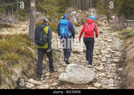 Drei Wanderer in hellen Sport Kleidung Wandern auf Wald, Felsen und Bäume um. Ansicht von hinten Stockfoto