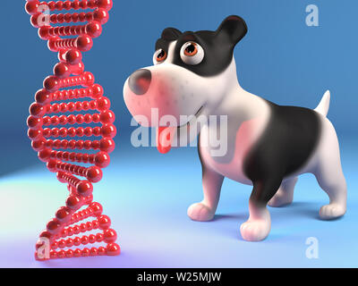 Fasziniert Welpe Hund starrt auf genetische DNA-Strang, 3d-Grafik rendern Stockfoto