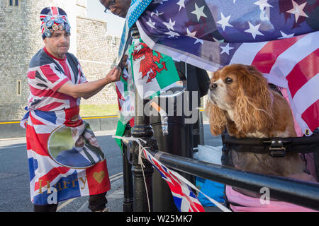 Royal superfan Johannes Loughrey, mit Unternehmen von Camilla der Hund, bereitet die Fahnen und Plakate außerhalb von Schloss Windsor in Windsor vor der königliche Taufe des Herzogs und der Herzogin von Sussex's Sohn, Archie, in intime private Kapelle. RESS VEREIN Foto. Bild Datum: Samstag, Juli 6, 2019. Siehe PA Geschichte königliche Taufe. Foto: Rick Findler/PA-Kabel Stockfoto