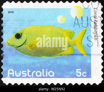 Tropische Fische gelb auf australischen Briefmarke Stockfoto