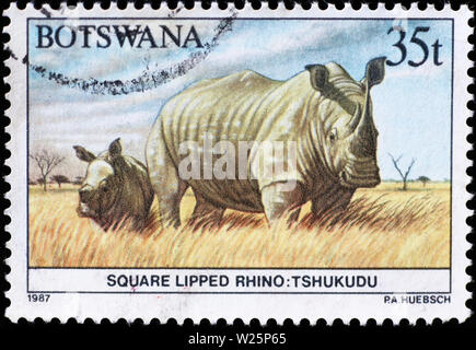 White Rhino und Baby auf Briefmarke von Botswana Stockfoto