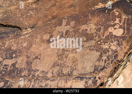 6000 Jahre alte Felszeichnungen aus der Steinzeit zeigt eine Karte des Standorts von Tieren in Bezug auf Wasser Löcher. Twyfelfontein, Namibia Stockfoto