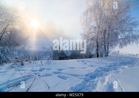 Nebligen winter Riverside am Morgen mit Sun Shine zwischen Birken. Stockfoto