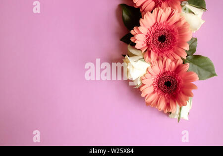 Rahmen aus Orange Gerbera Blumen und Rosen auf rosa Hintergrund. Festliche romantische Konzept. Stockfoto