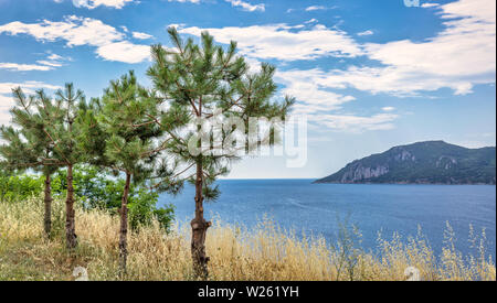 Schönen Sommer Landschaft an einem sonnigen Tag mit Wolken. Schönheit der Natur Hintergrund Konzept. Stockfoto