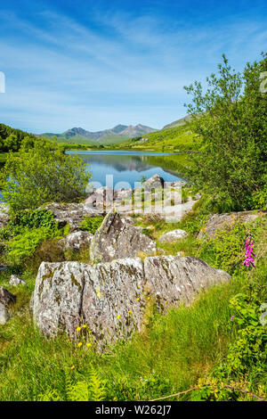 Snowdon von Llynnau Mymbyr in der Nähe von Capel Curig in Snowdonia, North Wales Stockfoto