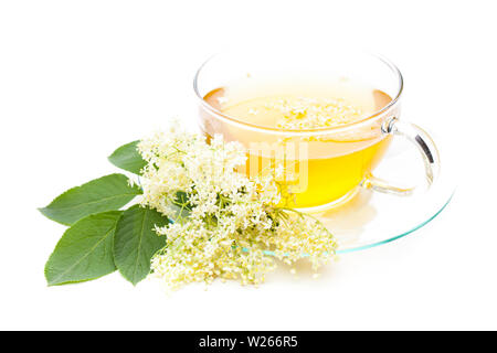 Heilung/Heilpflanzen: Heilende Pflanzen: Tee mit Holunder Blume auf weißem Hintergrund Stockfoto