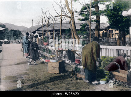 [1900s Japan - Japanische Neues Jahr - Shopping] - eine Hausfrau Geschäfte für eine Anlage, bei den Vorbereitungen für das Neue Jahr. Dieses Bild ist Teil des neuen Jahres in Japan, ein Buch von Kobe veröffentlicht Fotograf Kozaburo Tamamura 1906 (Meiji 39). 20. Jahrhundert vintage Lichtdruck drucken. Stockfoto