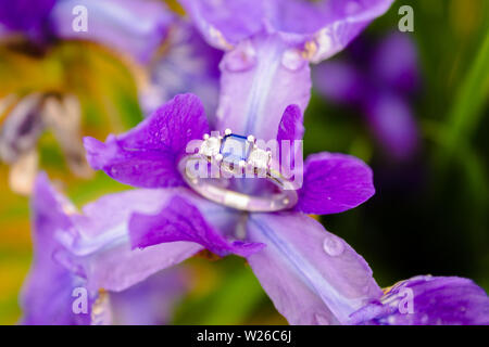 Verlobungsring thront in einer Blume über den Regen Stockfoto