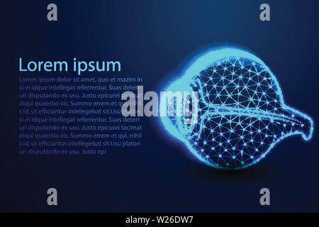 Licht des menschlichen Auges. Abstrakte Low Poly. Drahtmodell Design. Die Verbindung von Punkt und Linie. Vector Illustration Stock Vektor