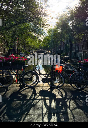 Die Sonne geht auf eine Stadt Amsterdam Canal, Casting Shadows von geparkten Fahrräder im Jordaan Viertel. Stockfoto