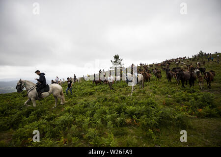 Estrada, Sabucedo, Spanien. 7. Mai, 2019. Dorfbewohner round up wilde Pferde für ihre jährlichen Rapa das Bestas (zähmung der Tiere) Festival in Estrada. Wilde Pferde sind von den Hügeln gefangen und hinunter zum Dorf Sabucedo in dieser Jahrhunderte alten Tradition Galiciens Schlagwörter zu geschoren werden und berücksichtigt. Credit: Diogo Baptista/SOPA Images/ZUMA Draht/Alamy leben Nachrichten Stockfoto