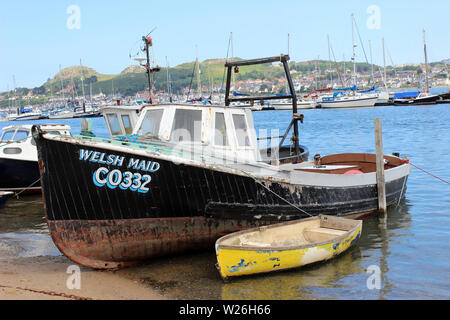 Kleines Fischerboot "Waliser Maid' in Conwy Quay, Conwy, Wales Stockfoto