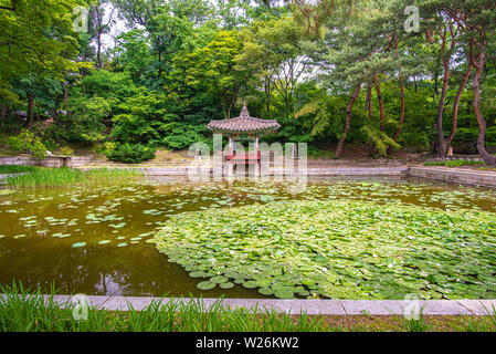 Teich in der geheime Garten der Changdeokgung Palast, im Sommer, Seoul, Korea Stockfoto