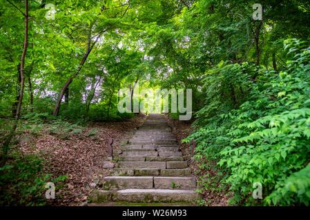 Rustikale Treppe in der geheime Garten der Changdeokgung Palast, im Sommer, Seoul, Korea Stockfoto