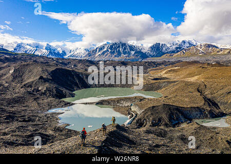 Wanderer, Denali National Park, Alaska, USA Stockfoto