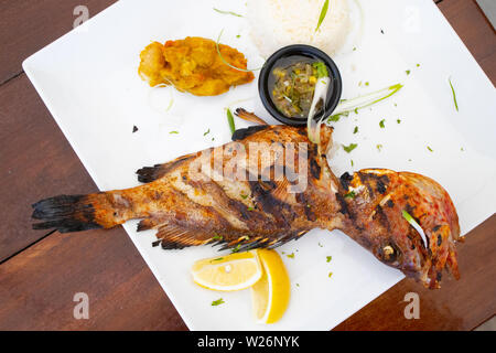 Red Snapper, Le Grain de Sel Restaurant, Anse de Grande physiologischer Kochsalzlösung oder Salines Strand, Saint Barthélemy oder St Barths oder St Barts Stockfoto