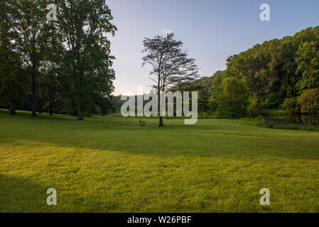 Ein einer einsamen Parkbank sitzt neben einem Baum in einem großen grünen Wiese in Meadowlark Botanischen Gärten. Stockfoto