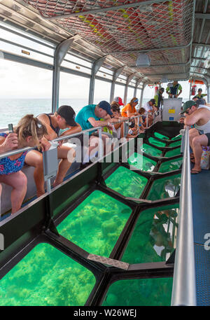 Glasbodenboot aus, grüne Insel, eine Koralleninsel im Great Barrier Reef Marine Park, Queensland, Australien Stockfoto