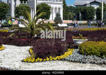 Moskau, Russland - Juli 2, 2019, ein Blumenbeet mit einer Palme und weißen Steinen vor dem Pavillon von Usbekistan an VDNKh Stockfoto