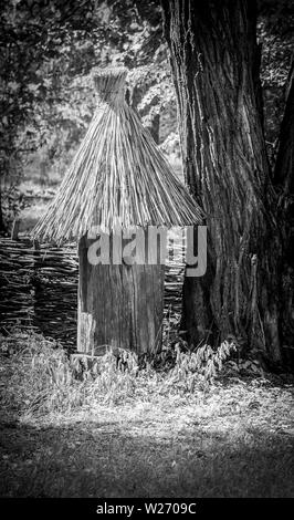 Holz- retro Bienenstock aus Baumstamm auf dem ukrainischen Dorf Stockfoto