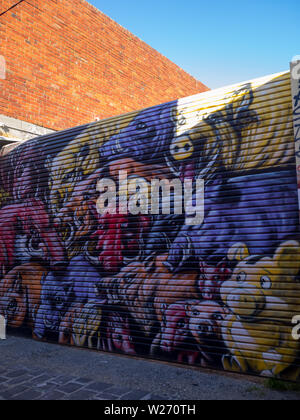 Street Art Graffiti im Melbourner Fitzroy District Stockfoto