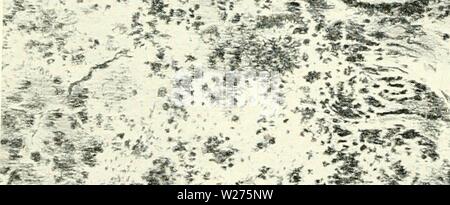 Archiv Bild von Seite 41 der Tage und Nächte mit Indischen Stockfoto