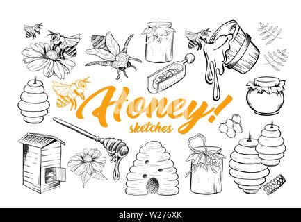 Honig Skizzen, Bienenstock, Honigtopf, Fass, Topf, Löffel und Blume Hand gezeichnet Biologische Produkte für Logo. Schwarzer Umriss Gravur Elemente. Vintage isoliert Vector Illustration Stock Vektor