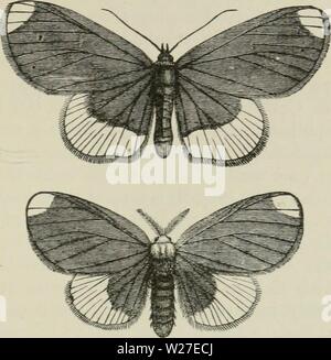 Archiv Bild von Seite 270 des Darwinismus eine Ausstellung von Stockfoto