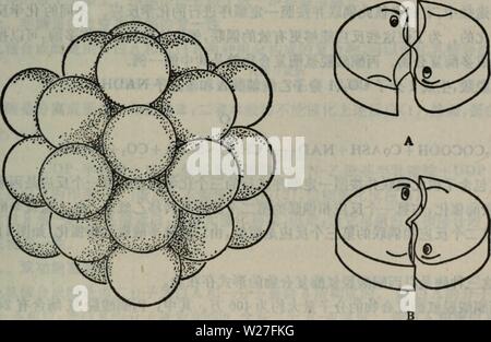 Archiv Bild von Seite 274 Dan bai Zhi fen Zi Stockfoto