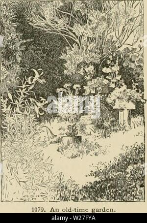 Archiv Bild ab Seite 275 von cyclopedia der amerikanischen Gartenbau, bestehend aus. Cyclopedia der amerikanischen Gartenbau, bestehend aus Anregungen für den Anbau von Gartenpflanzen, Beschreibungen der Arten von Obst, Gemüse, Blumen und Zierpflanzen in den Vereinigten Staaten und in Kanada verkauft, zusammen mit geographischen und Biographische Skizzen cyclopediaofam 02 Kaution Jahr: 1900 1078. Reliquie daysâapple Baum an 250 Jahre; Garten." Es wurde viel auf: • Obstgärten war vor allem die makefl, einige haben die von England, und es gibt keine Mühe oder Unkosten der Wände für Thera; für die Pe Stockfoto