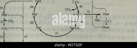 Archiv Bild ab Seite 276 von Dai Xie gong Cheng (200312) dai Xie gong Cheng daixiegongcheng 00 greg Jahr: 2 Stockfoto