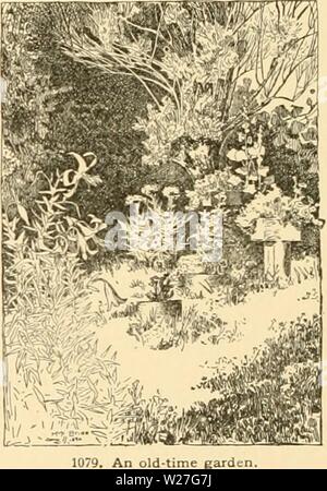 Archiv Bild ab Seite 277 von cyclopedia der amerikanischen Gartenbau. Cyclopedia der amerikanischen Gartenbau: Bestehend aus Anregungen für den Anbau von Gartenpflanzen, Beschreibungen der Arten von Obst, Gemüse, Blumen und Zierpflanzen in den Vereinigten Staaten und in Kanada verkauft, zusammen mit geographischen und Biographische Skizzen cyclopediaofame 02 Kaution Jahr: 1906 1078. Reliquie daysâapple Baum bei 250 Jahren. Fässer, die von England, und es gibt keine Mühe oder Unkosten der Wände für sie; denn die Pfirsichbäume sind alle Normen, und Herr Dudley hat, in seinem eigenen Garten, 700 oder 800 flue p Stockfoto