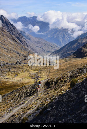 Landschaft entlang der Cordillera Real mountain range, Bolivien Stockfoto