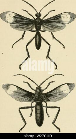 Archiv Bild von Seite 278 des Darwinismus eine Ausstellung von Stockfoto