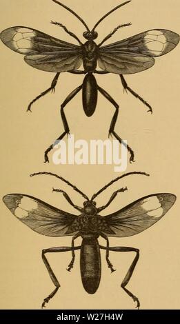 Archiv Bild von Seite 280 des Darwinismus; eine Ausstellung der Stockfoto