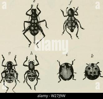 Archiv Bild von Seite 283 des Darwinismus eine Ausstellung von Stockfoto